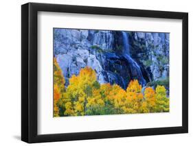 Fall Color and Waterfall Bishop Creek Canyon Eastern Sierras California-Vincent James-Framed Photographic Print