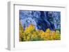 Fall Color and Waterfall Bishop Creek Canyon Eastern Sierras California-Vincent James-Framed Photographic Print