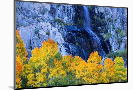 Fall Color and Waterfall Bishop Creek Canyon Eastern Sierras California-Vincent James-Mounted Photographic Print