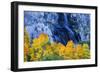 Fall Color and Waterfall Bishop Creek Canyon Eastern Sierras California-Vincent James-Framed Photographic Print