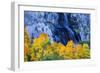 Fall Color and Waterfall Bishop Creek Canyon Eastern Sierras California-Vincent James-Framed Photographic Print