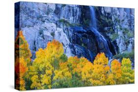 Fall Color and Waterfall Bishop Creek Canyon Eastern Sierras California-Vincent James-Stretched Canvas