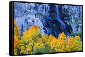 Fall Color and Waterfall Bishop Creek Canyon Eastern Sierras California-Vincent James-Framed Stretched Canvas