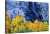 Fall Color and Waterfall Bishop Creek Canyon Eastern Sierras California-Vincent James-Stretched Canvas