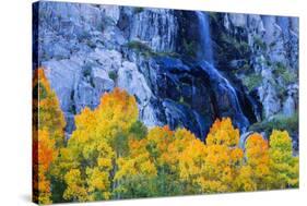 Fall Color and Waterfall Bishop Creek Canyon Eastern Sierras California-Vincent James-Stretched Canvas