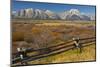 Fall Color, Buck and Rail Fence, Grand Tetons, Grand Teton National Park, Wyoming-Michel Hersen-Mounted Photographic Print