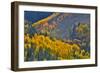 Fall Color Comes to Colorado Along Hwy 145 South of Telluride, Colorado-Ray Mathis-Framed Photographic Print