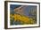 Fall Color Comes to Colorado Along Hwy 145 South of Telluride, Colorado-Ray Mathis-Framed Photographic Print