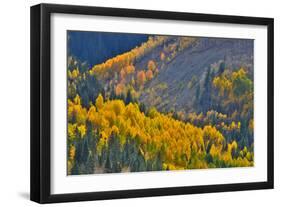 Fall Color Comes to Colorado Along Hwy 145 South of Telluride, Colorado-Ray Mathis-Framed Photographic Print