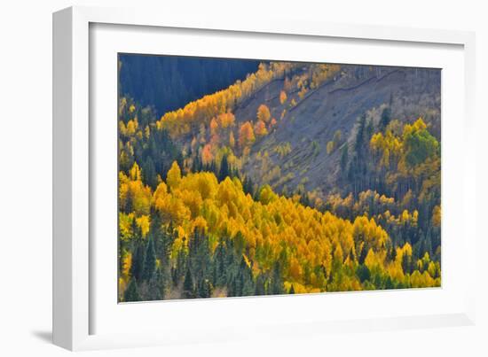 Fall Color Comes to Colorado Along Hwy 145 South of Telluride, Colorado-Ray Mathis-Framed Photographic Print