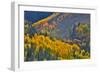 Fall Color Comes to Colorado Along Hwy 145 South of Telluride, Colorado-Ray Mathis-Framed Photographic Print