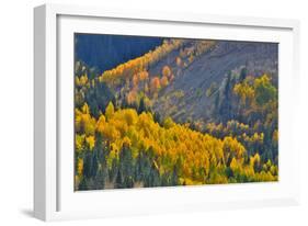 Fall Color Comes to Colorado Along Hwy 145 South of Telluride, Colorado-Ray Mathis-Framed Photographic Print