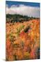 Fall Color Hills at Holderness New Hampshire-Vincent James-Mounted Premium Photographic Print