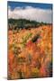 Fall Color Hills at Holderness New Hampshire-Vincent James-Mounted Photographic Print