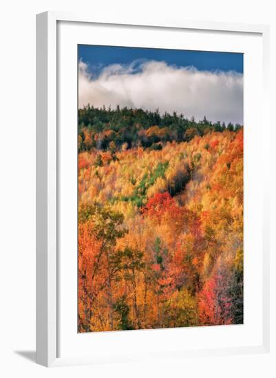 Fall Color Hills at Holderness New Hampshire-Vincent James-Framed Photographic Print