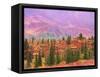 Fall Color in Denali National Park, Alaska, USA-Charles Sleicher-Framed Stretched Canvas