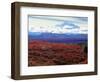 Fall Color in Denali National Park, Mt. Denali, Alaska, USA-Charles Sleicher-Framed Photographic Print