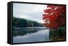 Fall Color in Harriman State Park, New York-George Oze-Framed Stretched Canvas