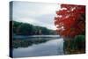 Fall Color in Harriman State Park, New York-George Oze-Stretched Canvas