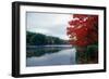 Fall Color in Harriman State Park, New York-George Oze-Framed Photographic Print