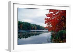 Fall Color in Harriman State Park, New York-George Oze-Framed Photographic Print