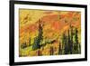 Fall color in Paradise Valley, Mount Rainier National Park, Washington State, USA-Russ Bishop-Framed Photographic Print