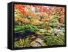 Fall Color in Seattle's Japanese Garden in the Arboretum, Seattle, Washington, Usa-Richard Duval-Framed Stretched Canvas