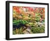 Fall Color in Seattle's Japanese Garden in the Arboretum, Seattle, Washington, Usa-Richard Duval-Framed Photographic Print