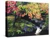 Fall Color in Seattle's Japanese Garden in the Arboretum, Seattle, Washington, Usa-Richard Duval-Stretched Canvas