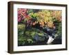 Fall Color in Seattle's Japanese Garden in the Arboretum, Seattle, Washington, Usa-Richard Duval-Framed Photographic Print