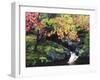 Fall Color in Seattle's Japanese Garden in the Arboretum, Seattle, Washington, Usa-Richard Duval-Framed Photographic Print