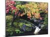 Fall Color in Seattle's Japanese Garden in the Arboretum, Seattle, Washington, Usa-Richard Duval-Mounted Photographic Print