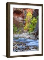 Fall Color in The Virgin Narrows, Southern Utah-Vincent James-Framed Photographic Print