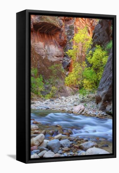 Fall Color in the Virgin Narrows-Vincent James-Framed Stretched Canvas