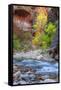 Fall Color in the Virgin Narrows-Vincent James-Framed Stretched Canvas