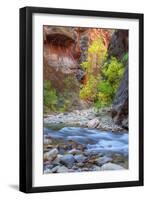 Fall Color in the Virgin Narrows-Vincent James-Framed Photographic Print