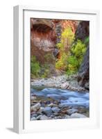 Fall Color in the Virgin Narrows-Vincent James-Framed Photographic Print