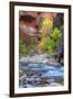 Fall Color in the Virgin Narrows-Vincent James-Framed Photographic Print