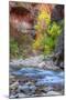 Fall Color in the Virgin Narrows-Vincent James-Mounted Photographic Print