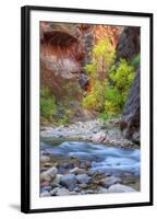 Fall Color in the Virgin Narrows-Vincent James-Framed Photographic Print