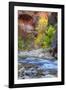 Fall Color in the Virgin Narrows-Vincent James-Framed Photographic Print