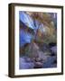 Fall Color in Zion National Park, Utah, USA-Diane Johnson-Framed Photographic Print