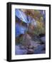 Fall Color in Zion National Park, Utah, USA-Diane Johnson-Framed Photographic Print