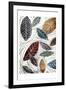 Fall Color Leaves-OnRei-Framed Art Print