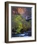 Fall Color on Virgin River, Zion National Park, Utah, USA-Diane Johnson-Framed Photographic Print