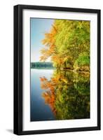 Fall Color Reflections ay Holderness New Hampshire, New England-Vincent James-Framed Photographic Print