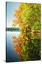 Fall Color Reflections ay Holderness New Hampshire, New England-Vincent James-Stretched Canvas
