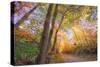 Fall Color Road, Acadia National Park, Maine-Vincent James-Stretched Canvas