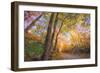 Fall Color Road, Acadia National Park, Maine-Vincent James-Framed Photographic Print