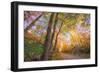 Fall Color Road, Acadia National Park, Maine-Vincent James-Framed Photographic Print